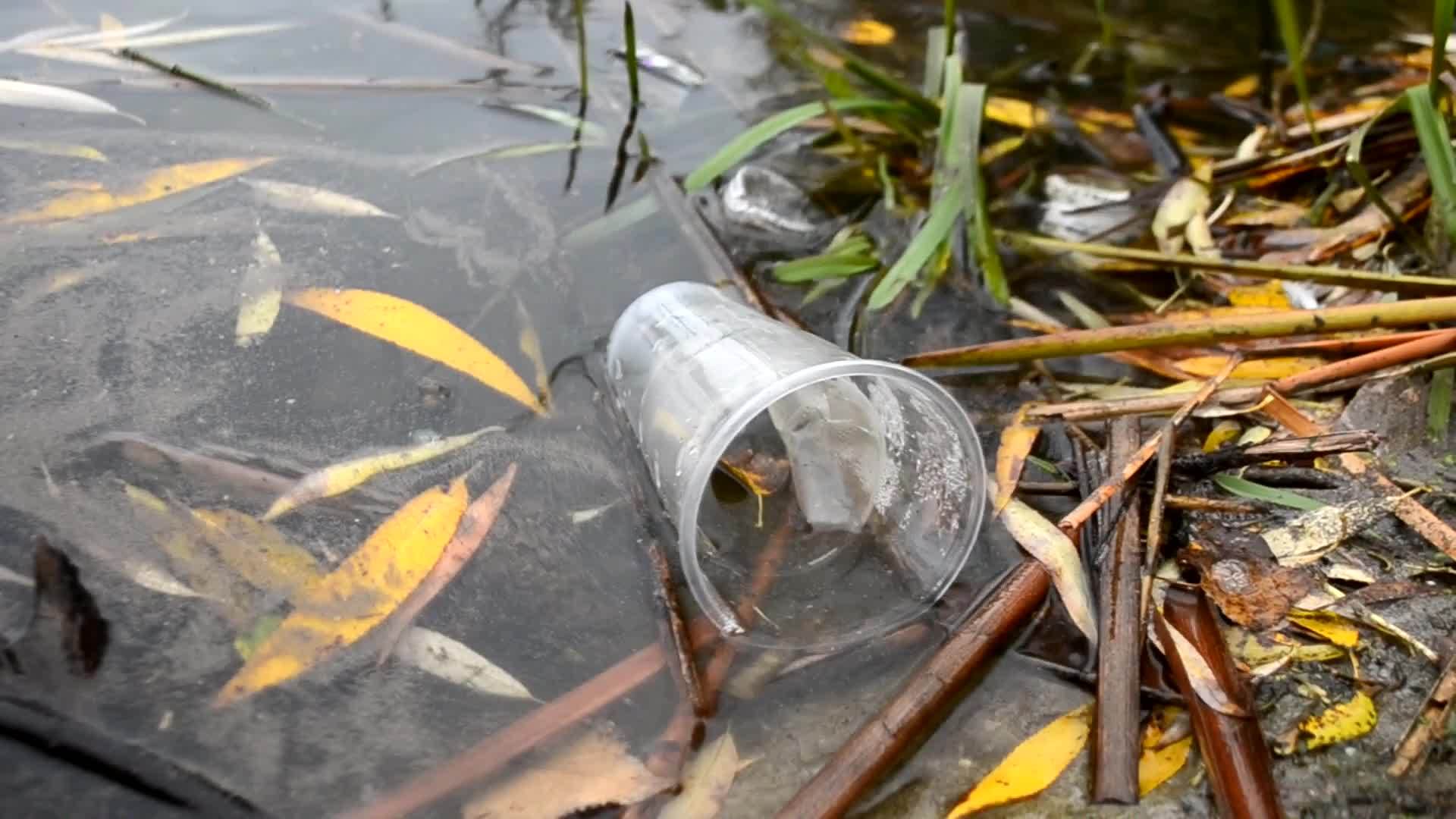 水中的塑料污染鸡尾酒的塑料杯在水下慢慢漂流 从水面反射出来视频的预览图