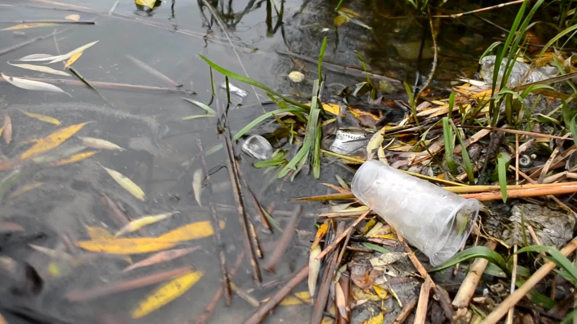 水中的塑料污染鸡尾酒的塑料杯在水下慢慢漂流 从水面反射出来视频的预览图