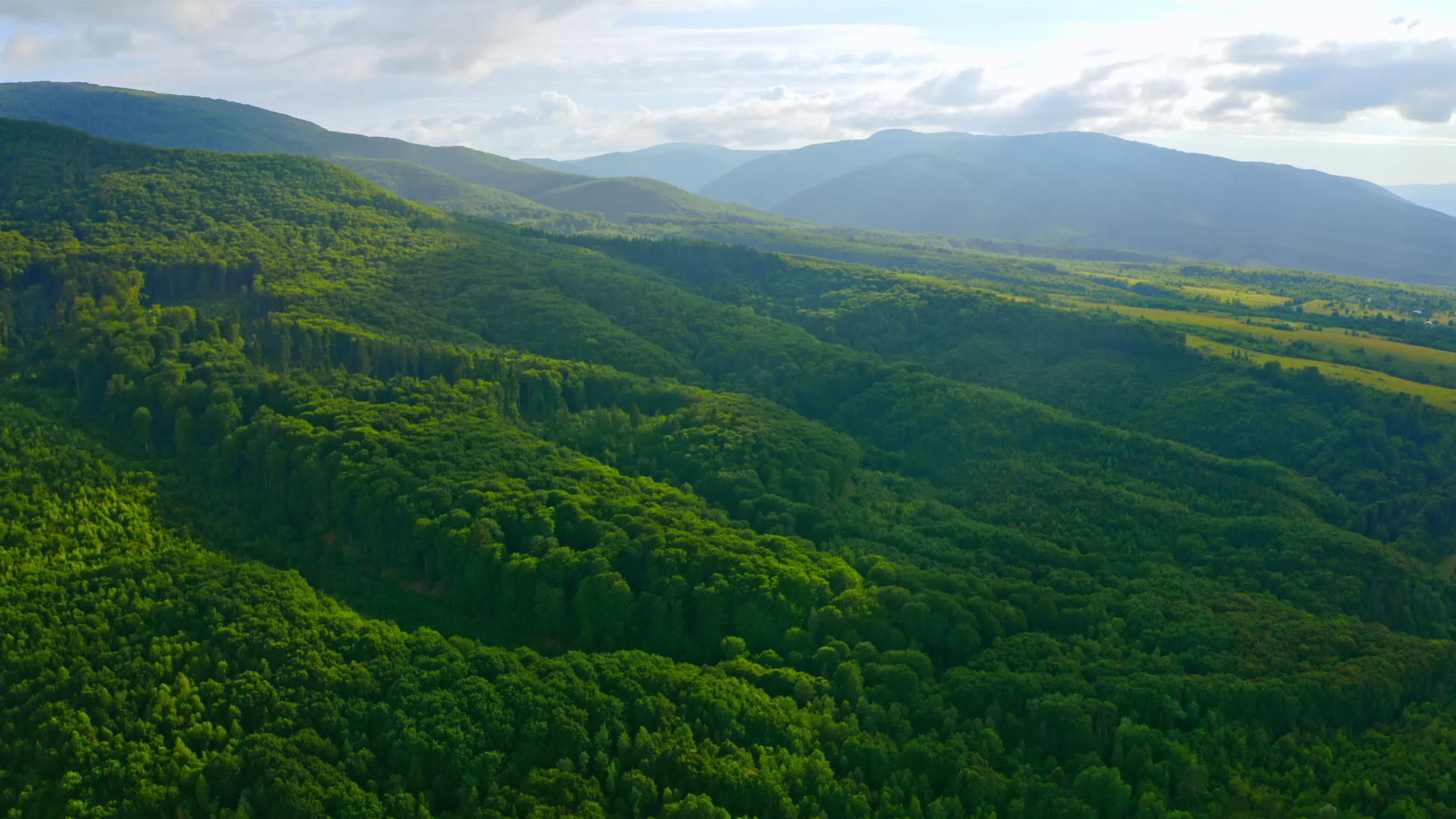 森林上方令人惊叹的风景视频的预览图