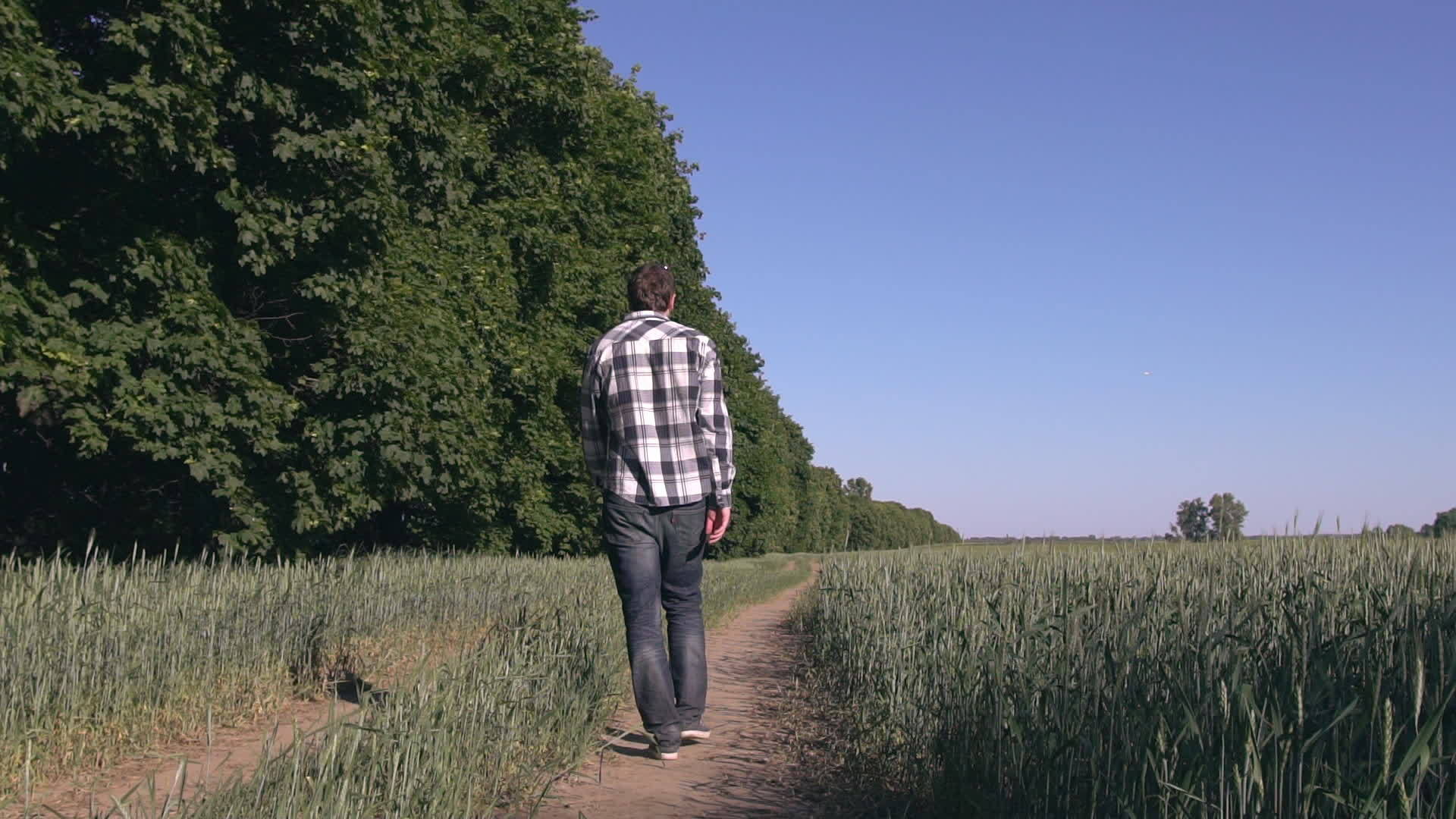 夏天和法国斗牛犬一起散步的家伙视频的预览图