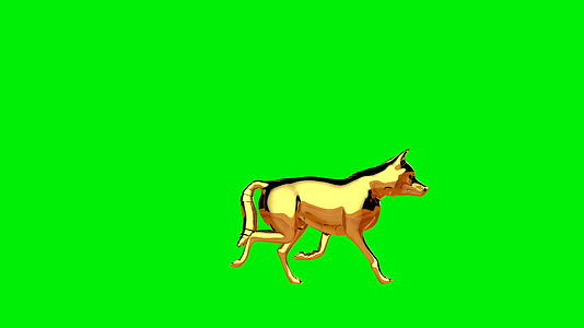 金狼行走无缝环绿屏视频的预览图