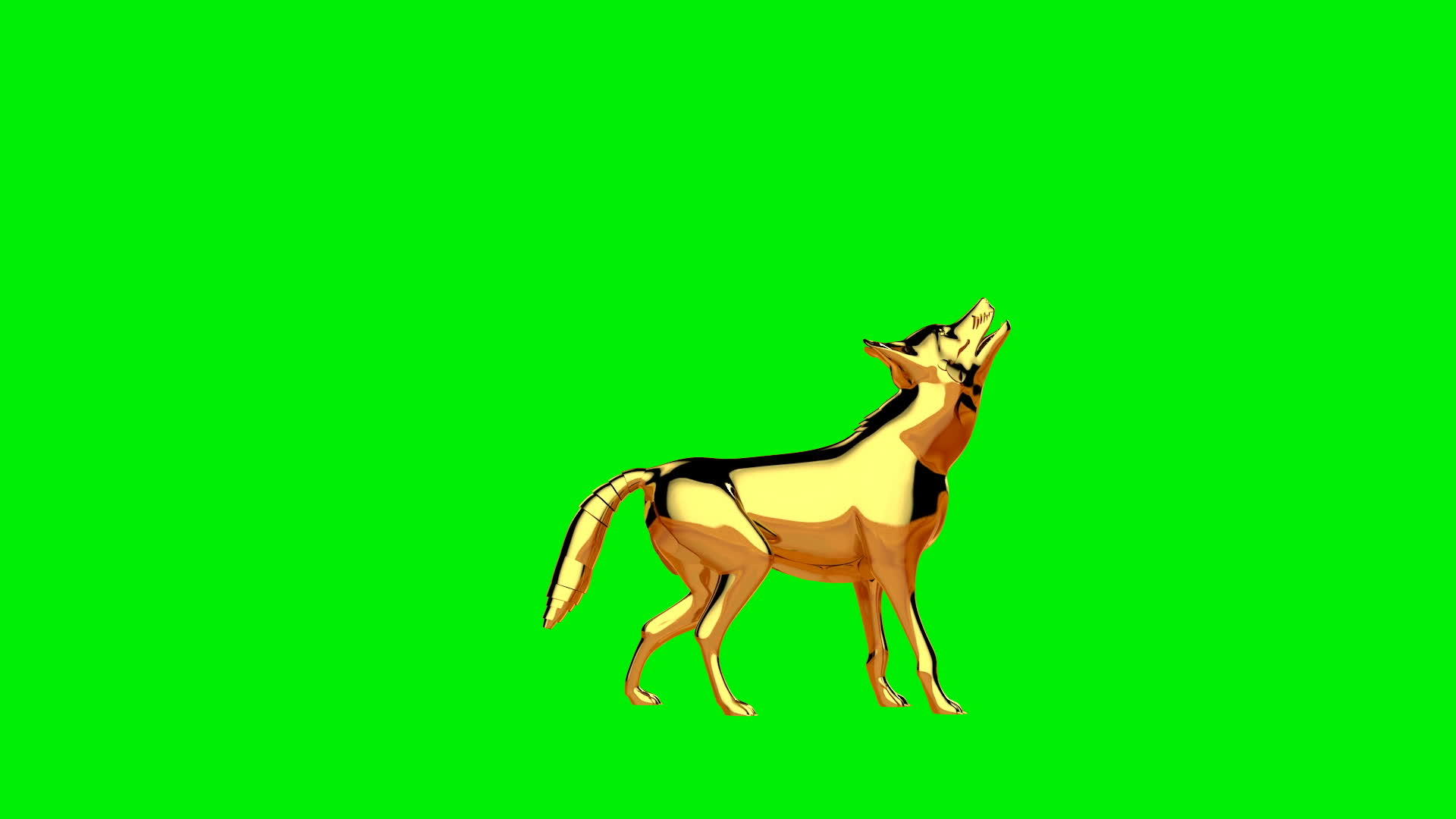 金狼咆哮绿屏环绕绿屏环绕视频的预览图