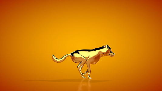 金狼运行无缝循环橙色工作室视频的预览图