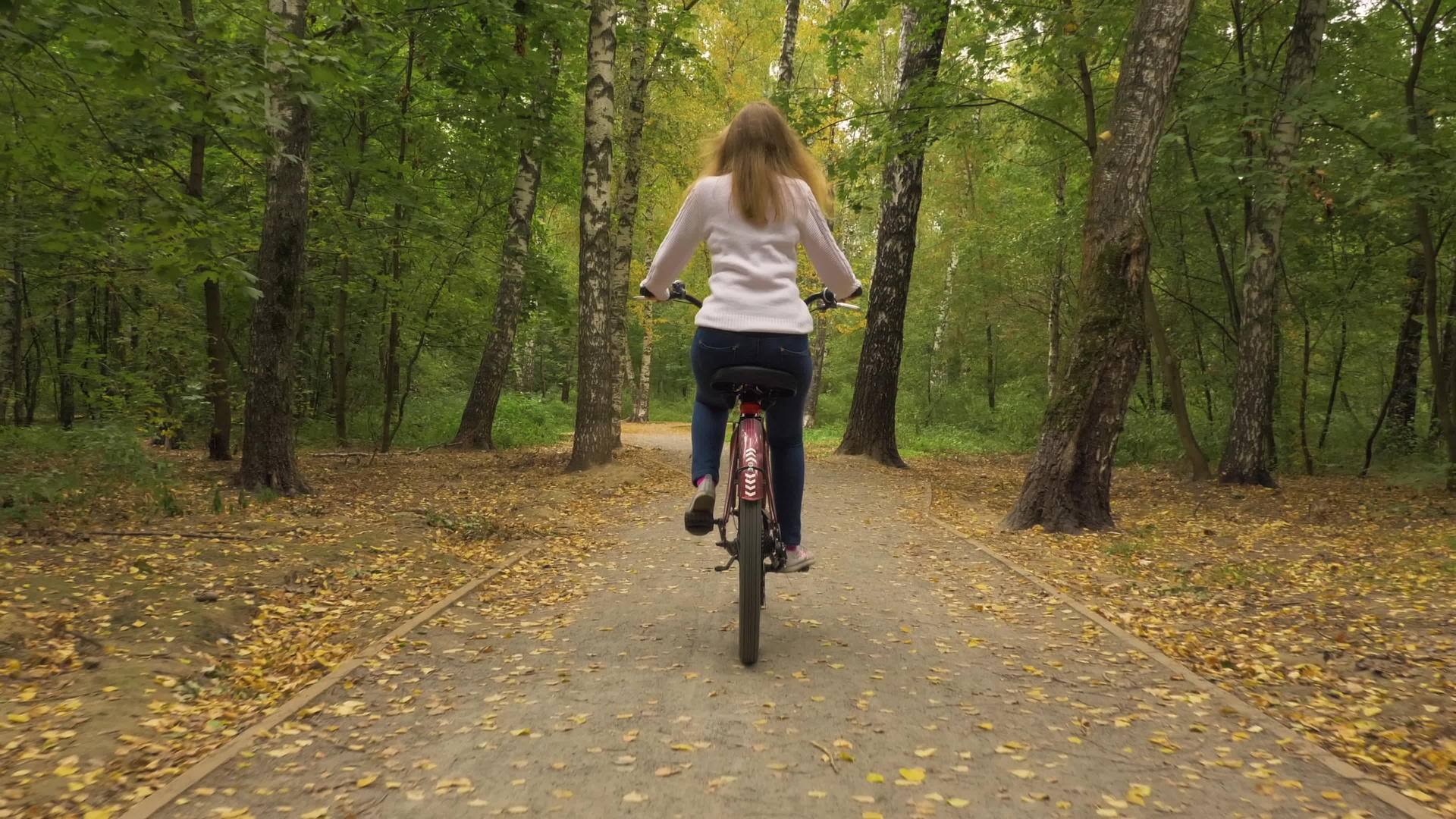女青年在公园里骑自行车秋天黄叶稳定地落下慢慢射击视频的预览图