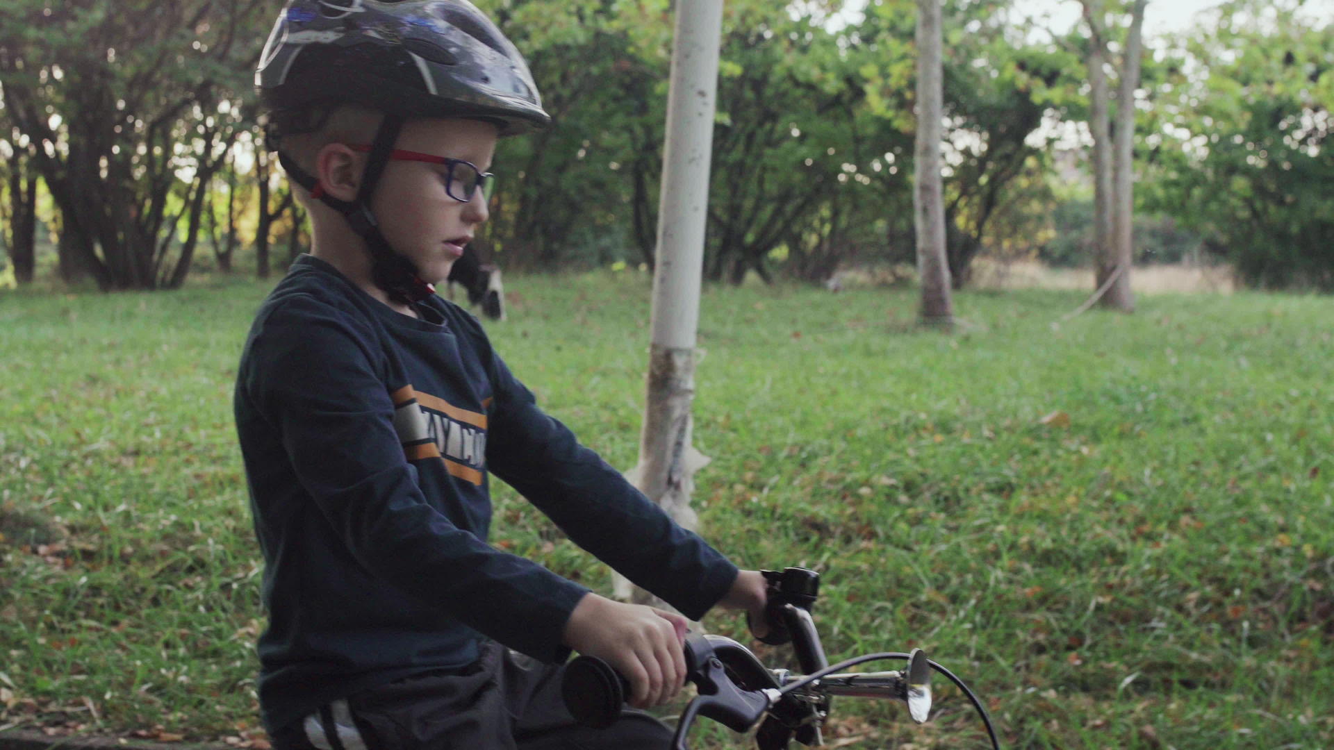 孩子骑着自行车在田野附近骑着奶牛视频的预览图