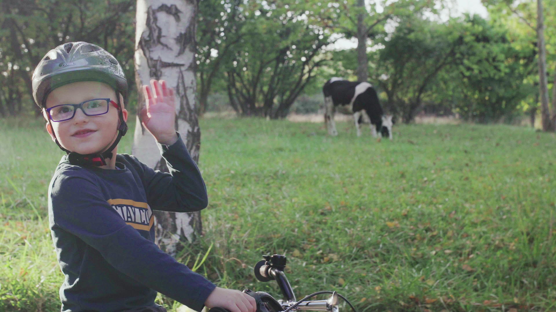 孩子们在田野附近骑自行车和奶牛一起玩气味视频的预览图
