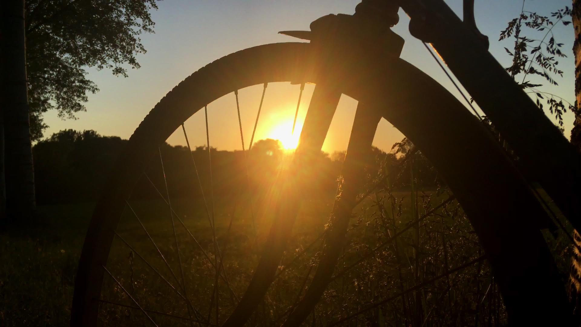日落时的自行车轮视频的预览图
