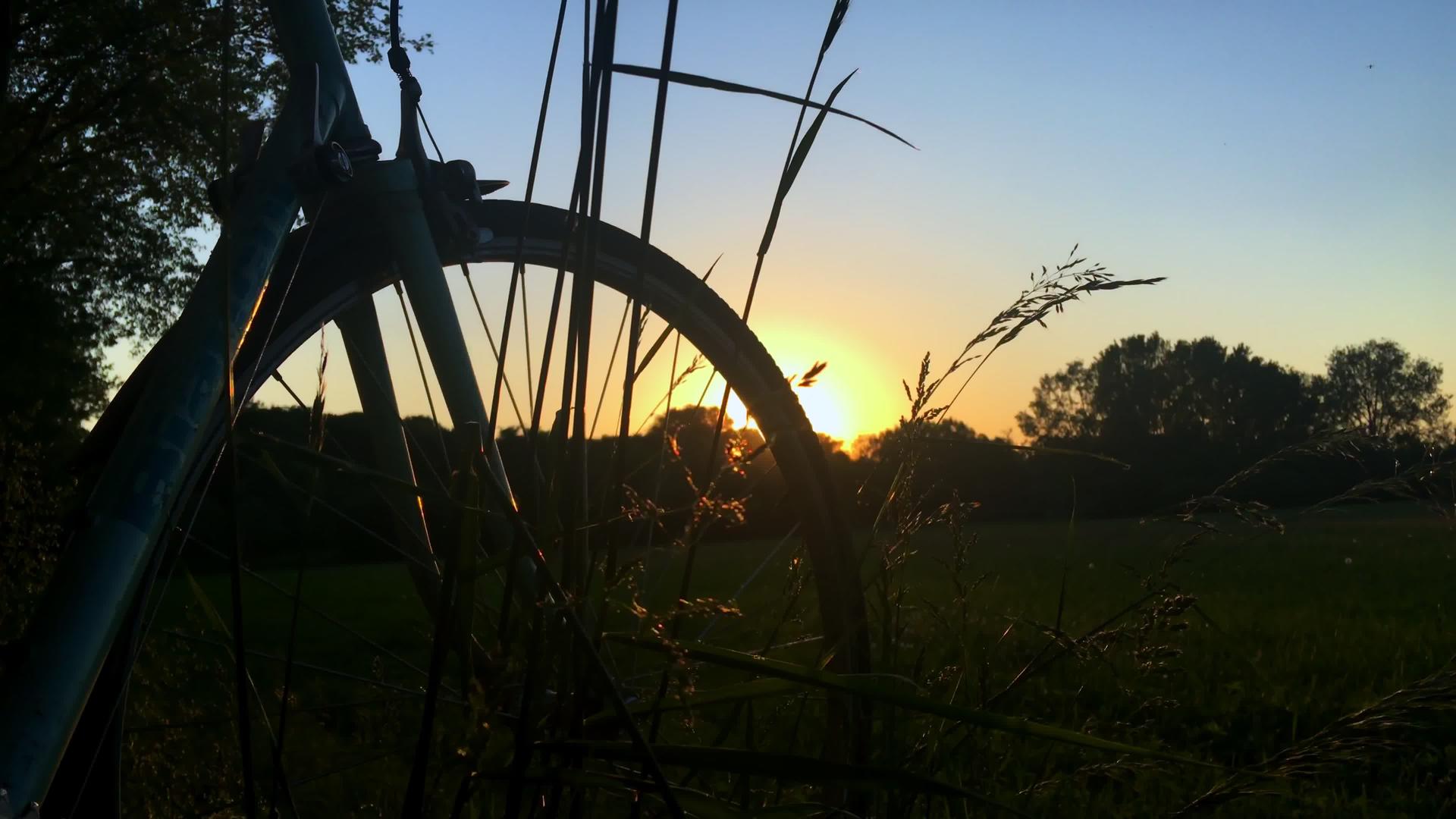日落时在草原上骑自行车视频的预览图