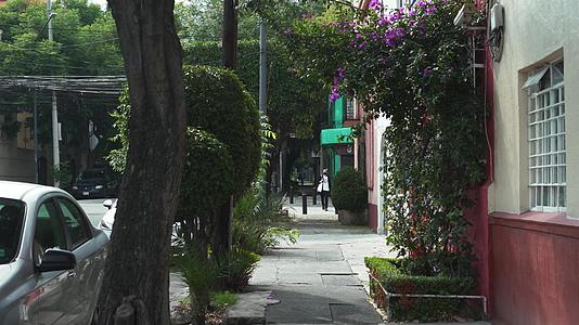墨西哥市视频的预览图