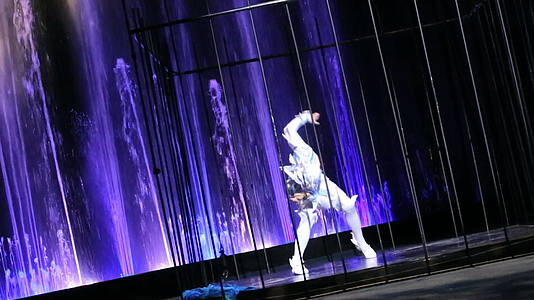 杂技舞蹈表演在笼子里视频的预览图