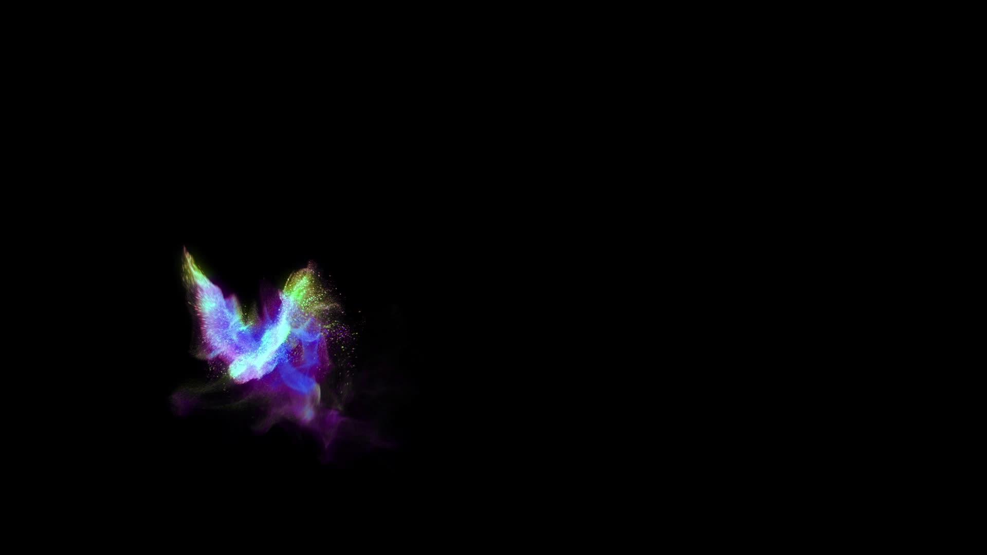 多色仙子鸟在黑色背景中hd环绕光影飞行视频的预览图