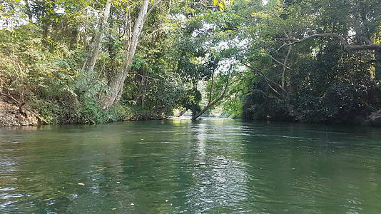 沿河乘船旅行的场景和热带雨林的视线视频的预览图