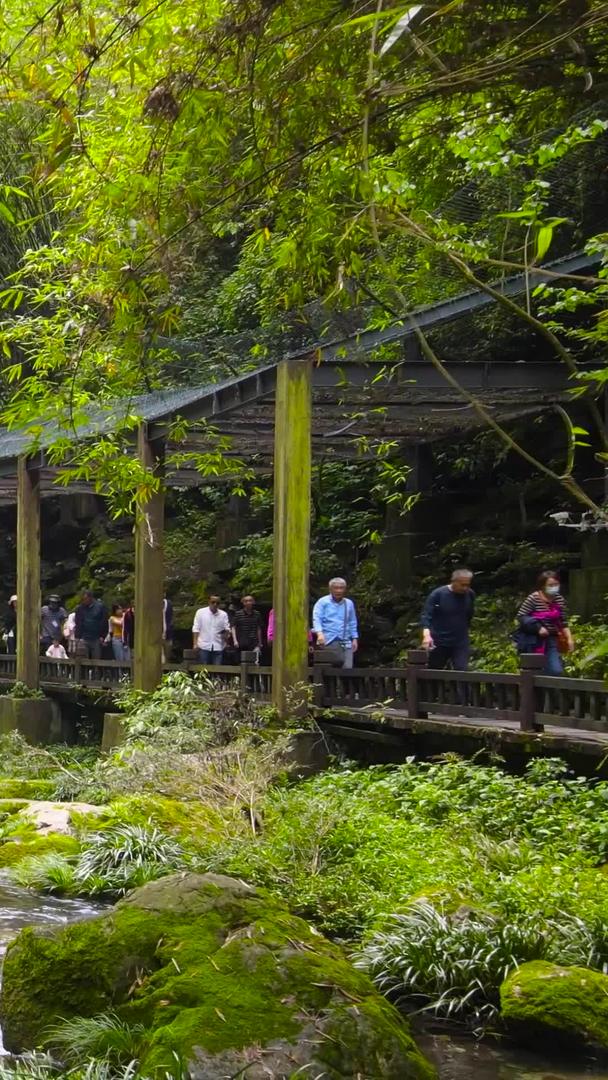 宜昌5A景区三峡人家龙进溪沿溪流航拍视频的预览图