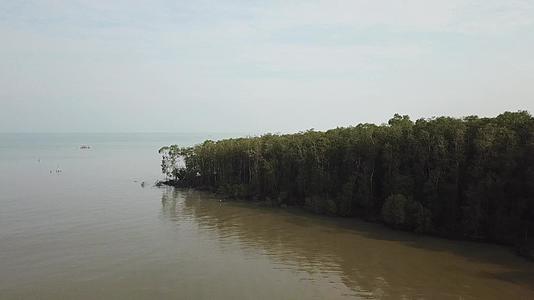 马来西亚红树林的帆视频的预览图