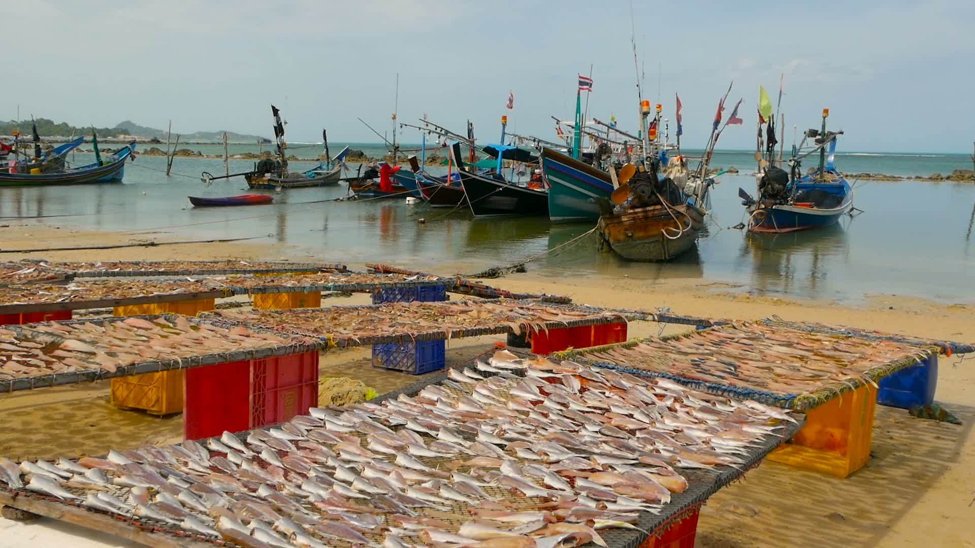 热带海洋海滩有固定锚的木制传统多彩渔船靠近亚洲贫困地区视频的预览图
