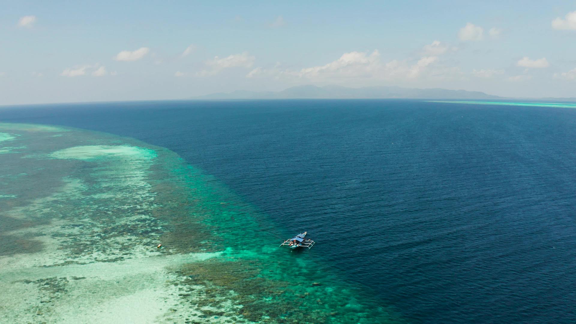 巴拉巴克帕拉旺菲在蓝水中的珊瑚礁上视频的预览图