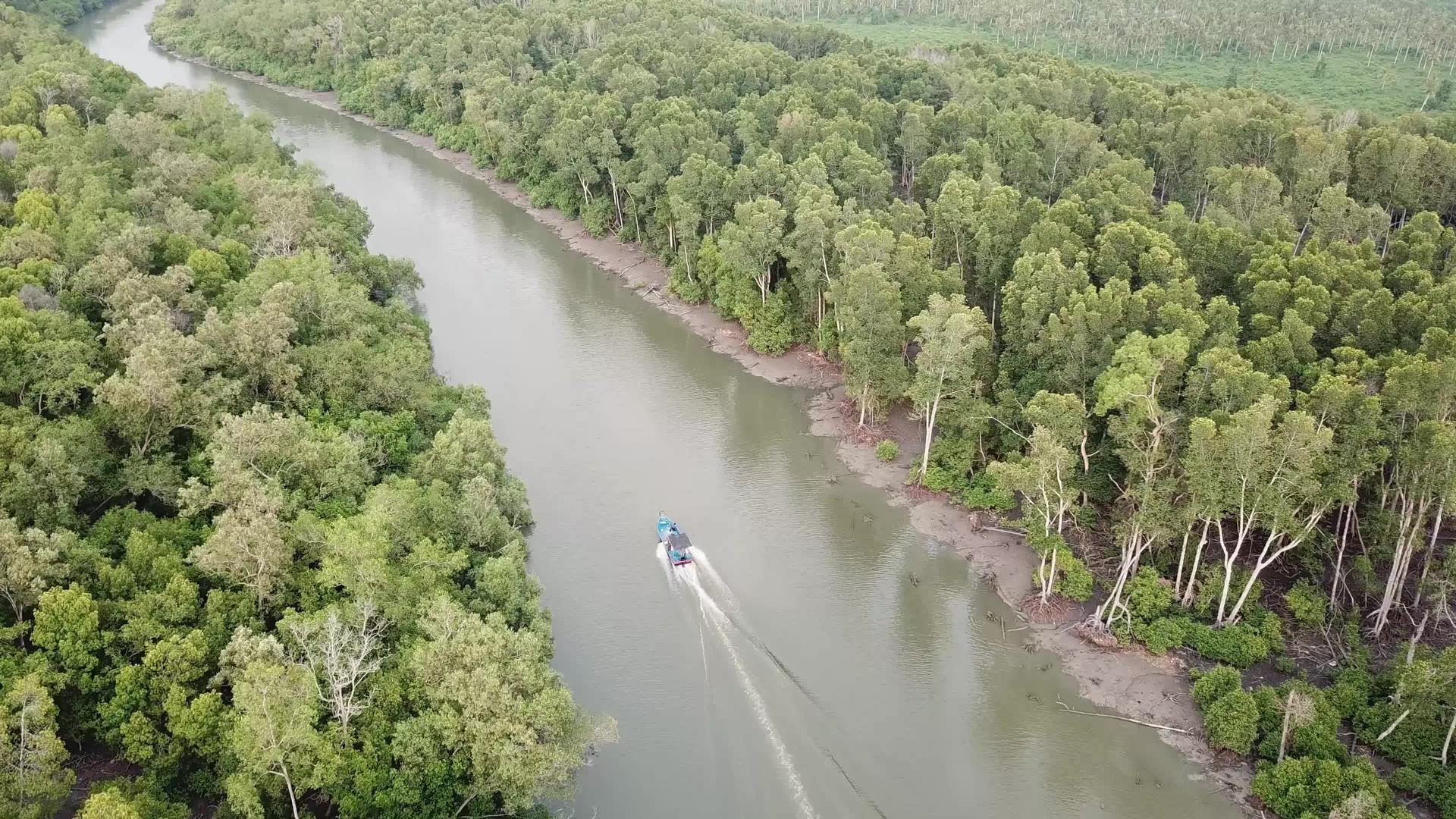 BatuKawan巴图卡红树林河上的渔船视频的预览图