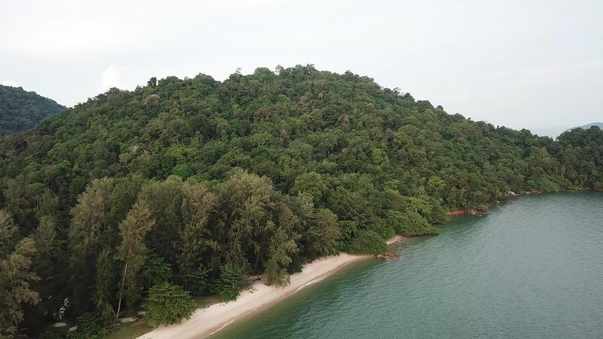 看看沿海岸空中的雨林视频的预览图
