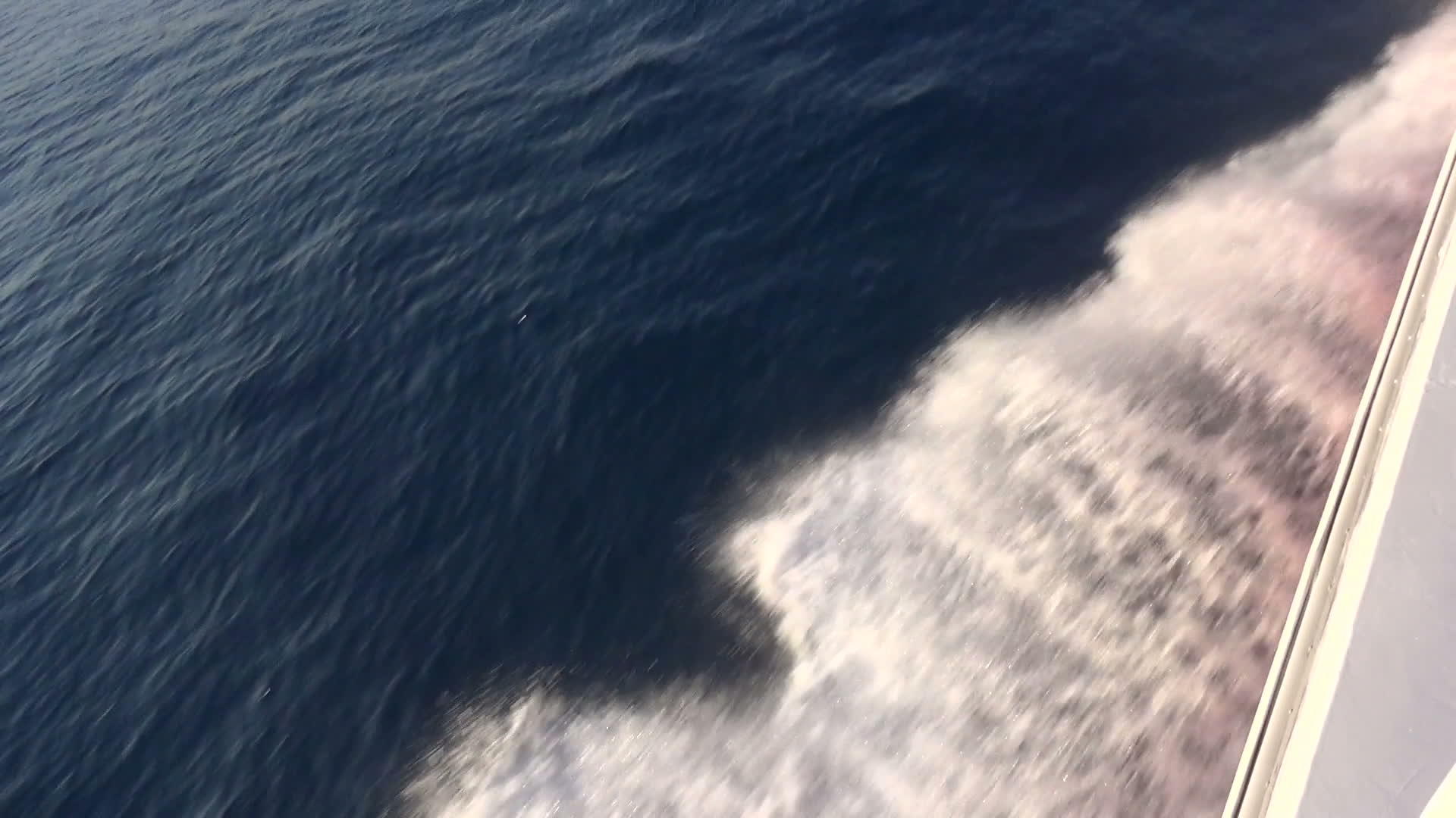机动艇在海上航行的灰色水视频的预览图