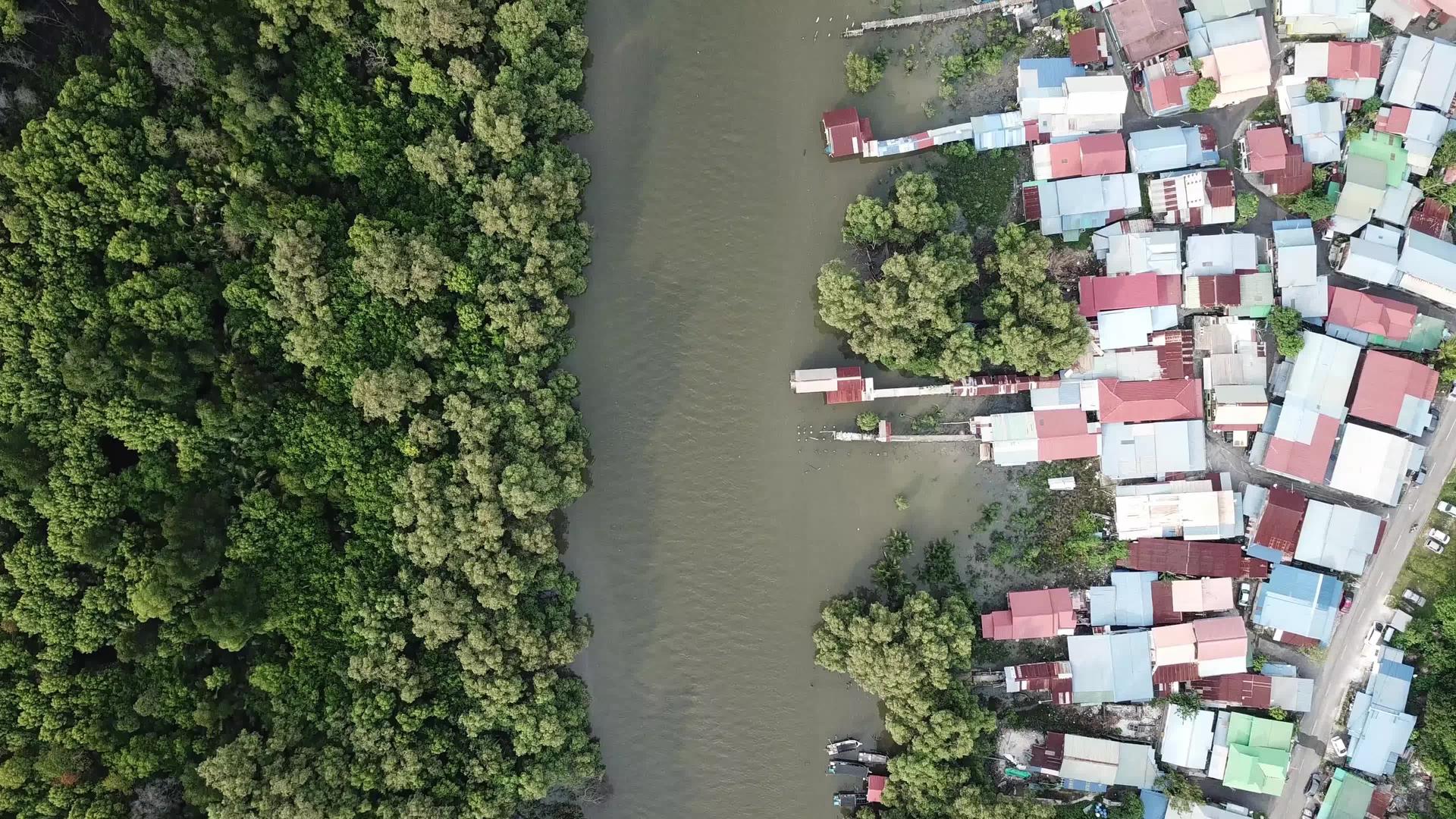 河流将红树林与马来人居住的村庄分开视频的预览图