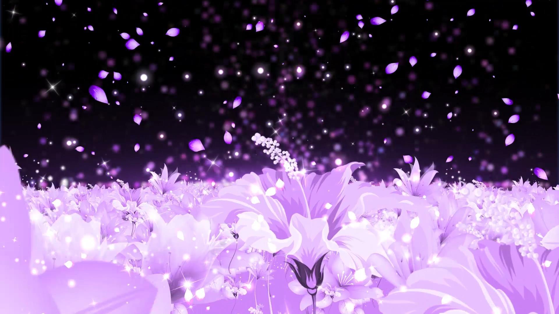 紫色大气唯美花海粒子光效动态背景元素视频的预览图