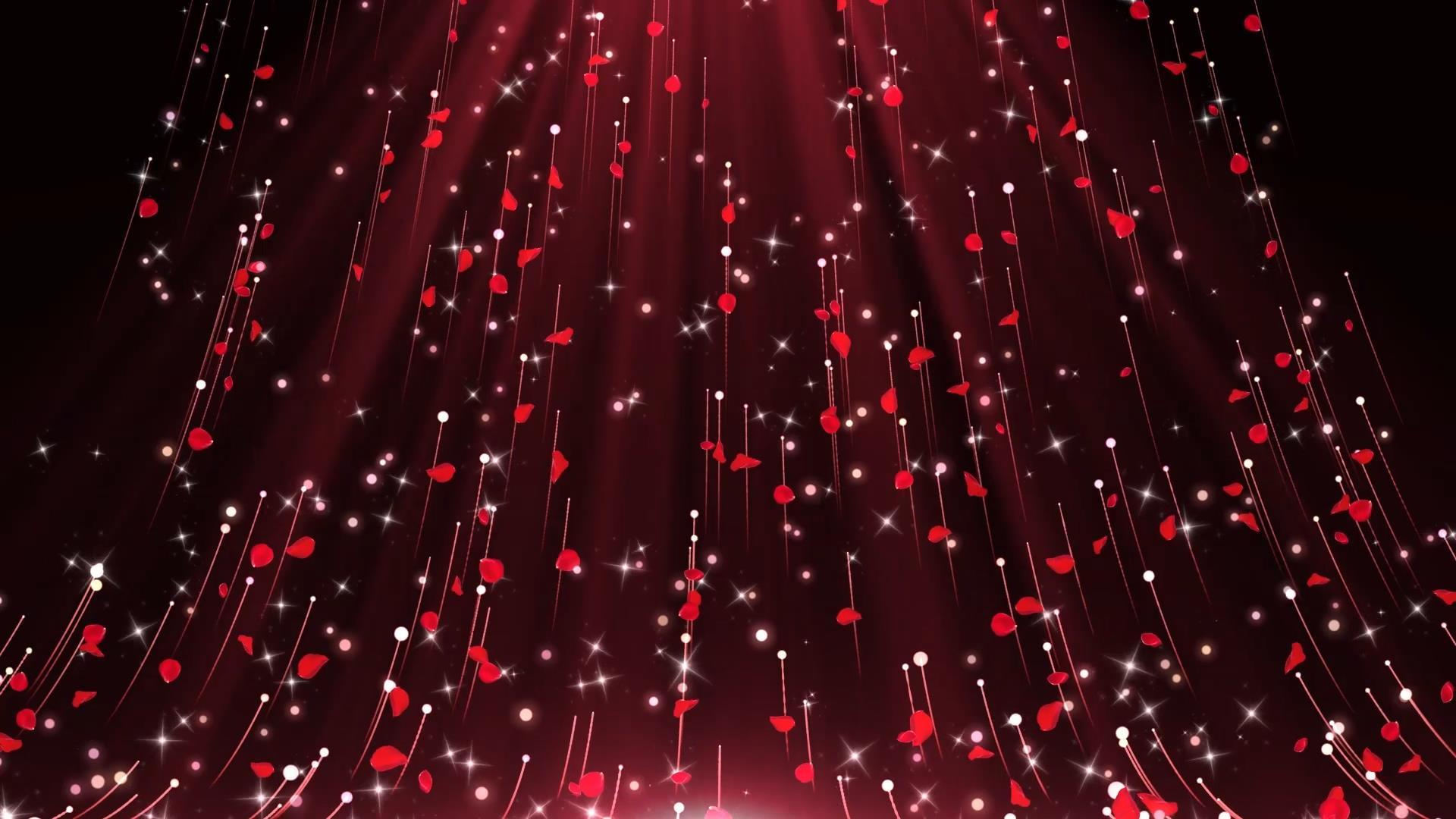 唯美动态玫瑰花瓣粒子光线上升背景视频元素视频的预览图
