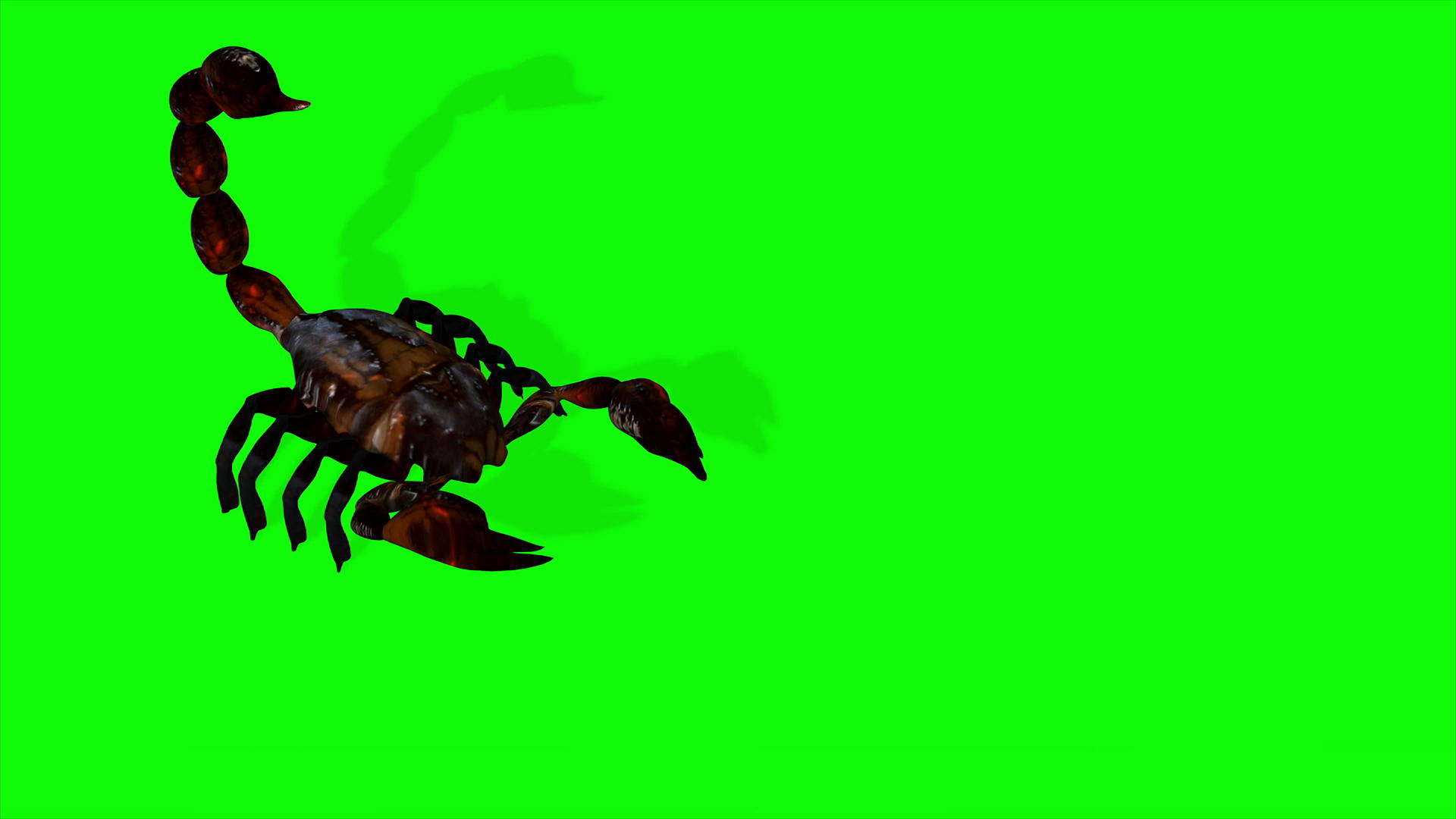 森林蝎子在绿屏背景上攻击视频的预览图