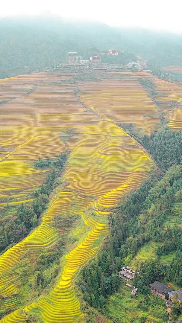 桂林旅游龙龙脊梯田航拍视频的预览图