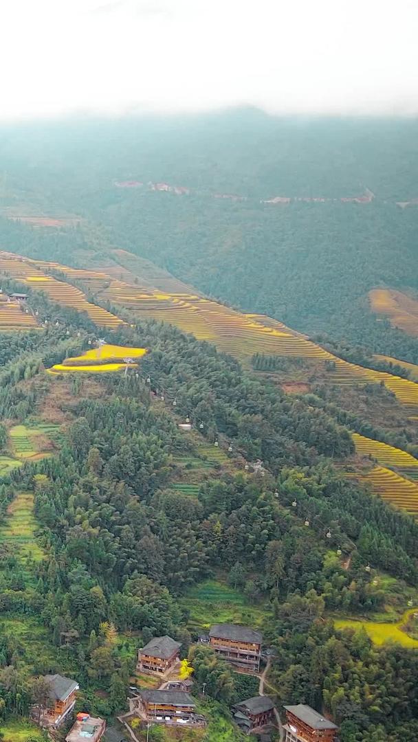 桂林旅游龙龙脊梯田航拍视频的预览图