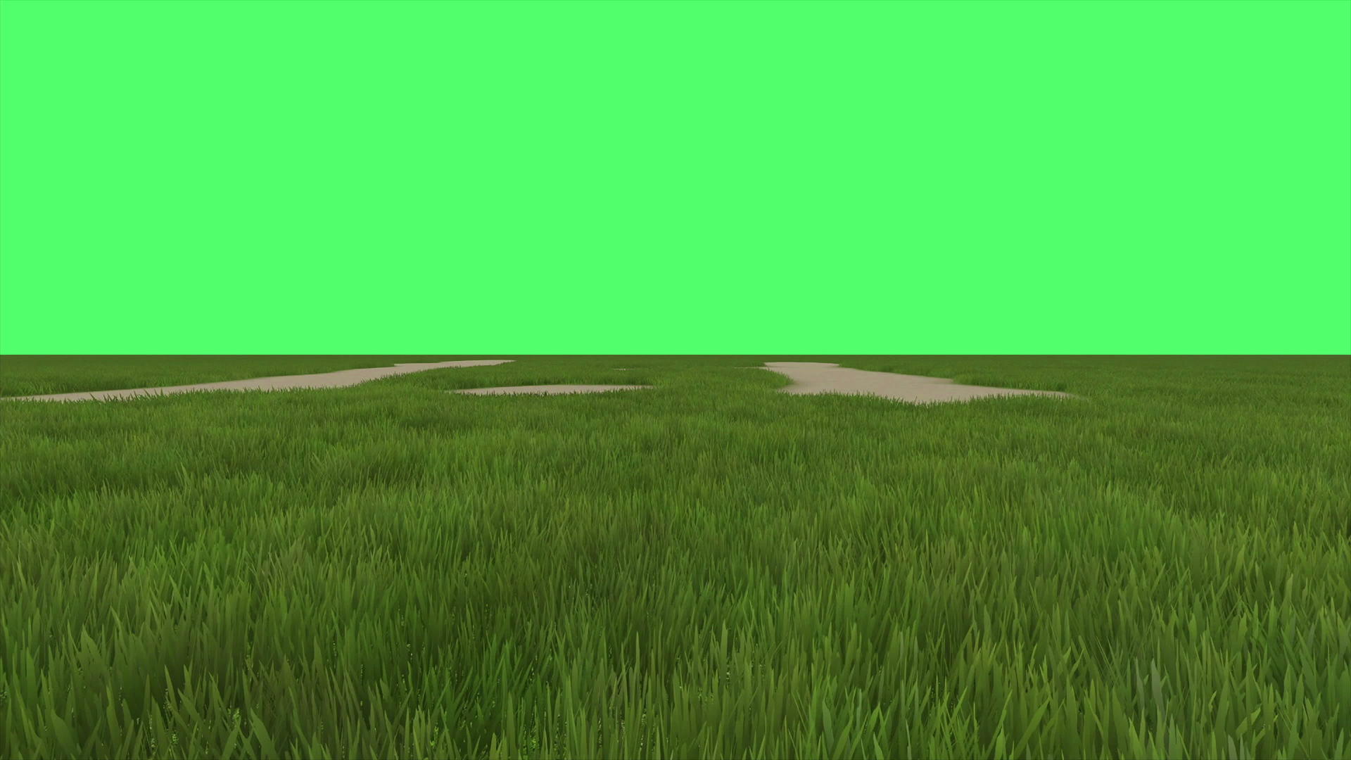 绿幕绿地动画视频的预览图