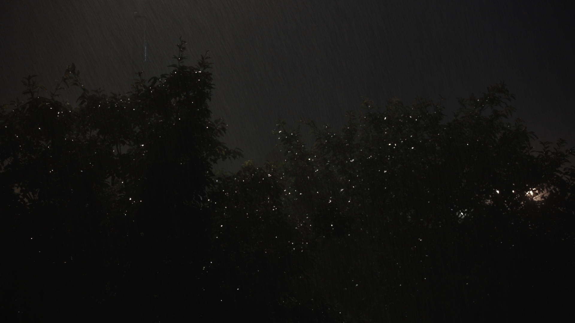 下雨天的夜晚视频的预览图