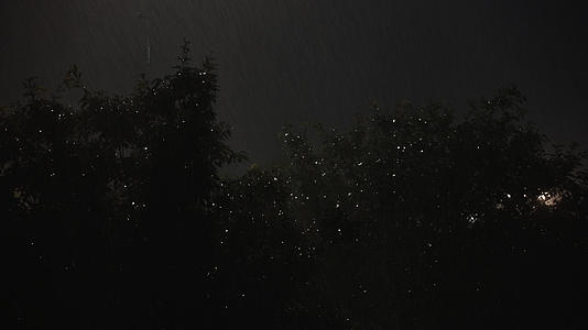 下雨天的夜晚视频的预览图
