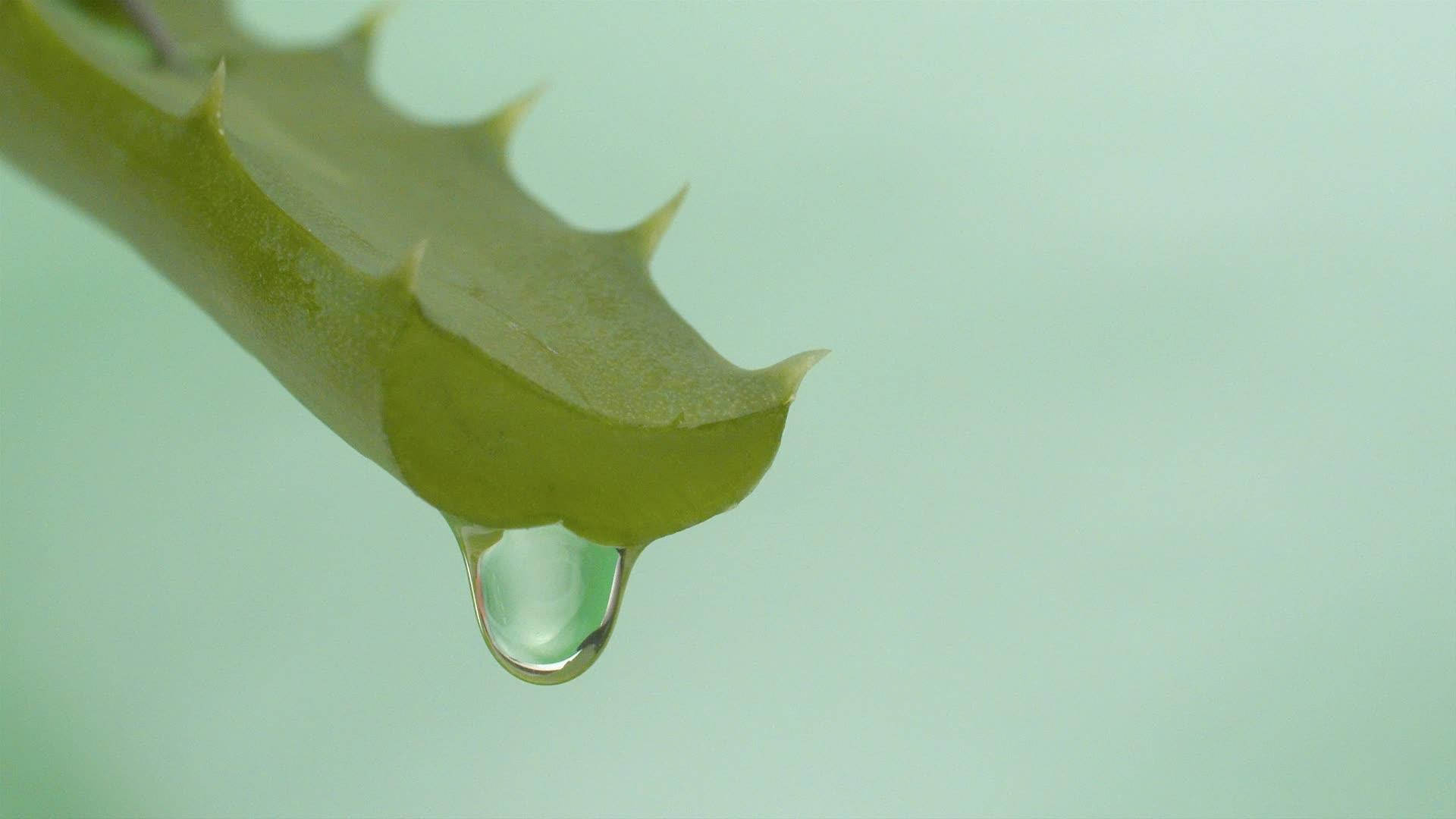有果汁的aloe叶子视频的预览图
