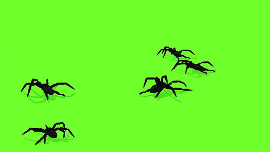 绿屏蜘蛛动画视频的预览图