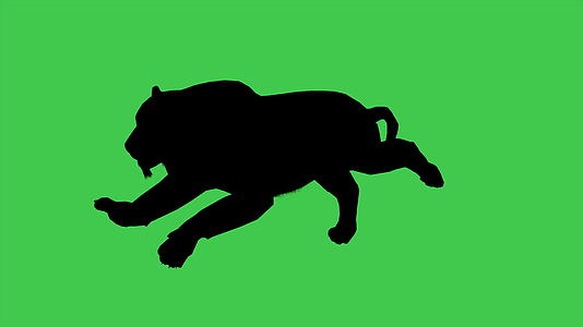 3d红豹移动双光影动画在绿屏上分离视频的预览图