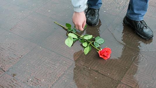 一个善良的人从泥坑里捡起一朵美丽的红玫瑰视频的预览图