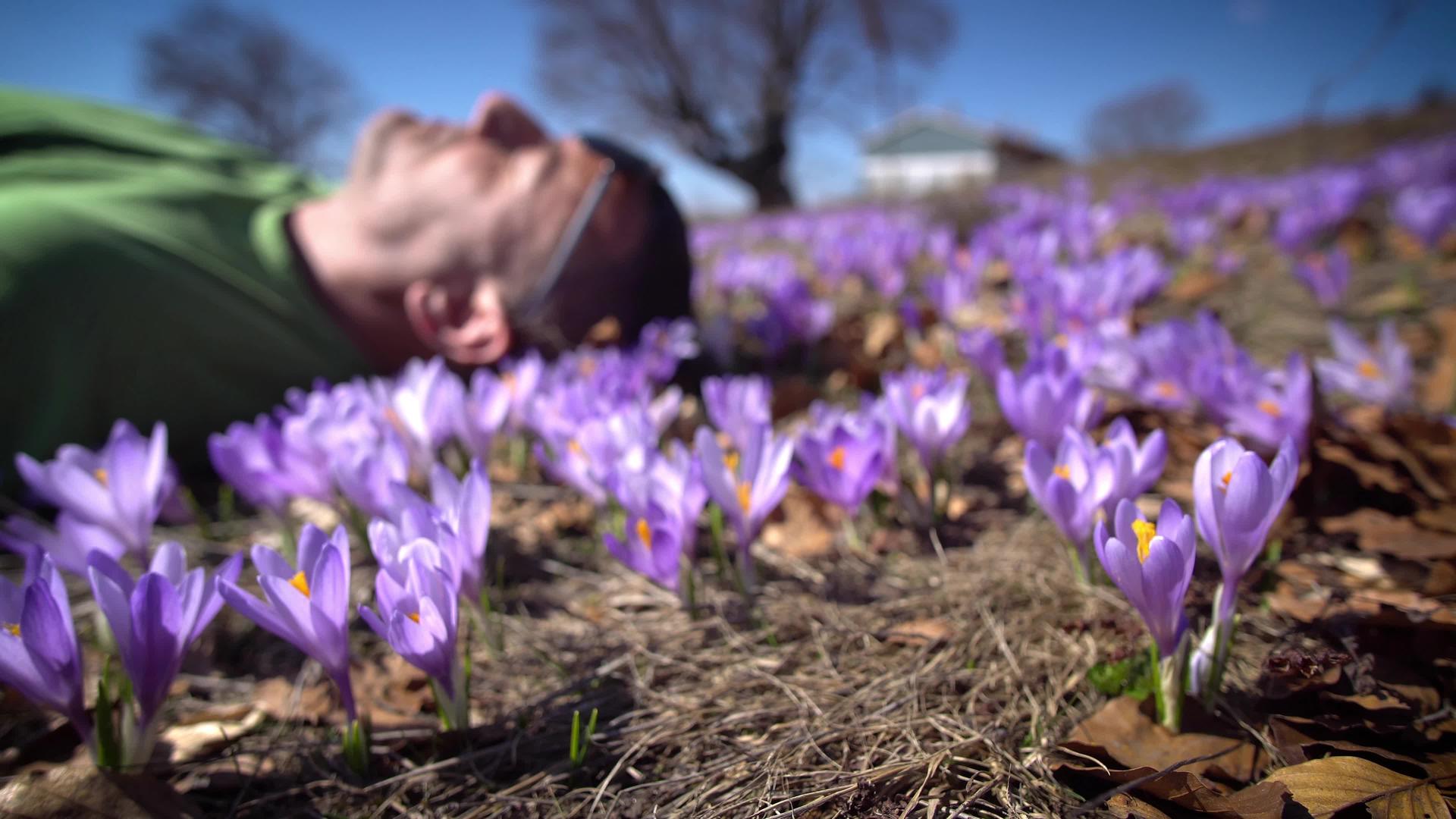 春天男人躺在草地上周围有紫色的花朵视频的预览图