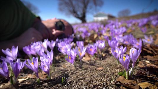 男人躺在草地上享受着美丽的紫色花朵的气息和风景视频的预览图