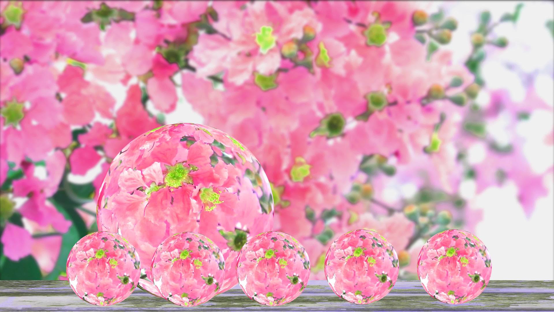 旧木地板秋球玻璃花园紫薇粉红玫瑰的倒影视频的预览图