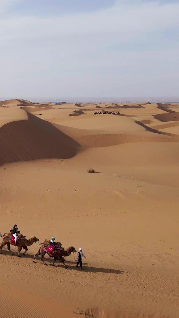 拍摄宁夏沙坡头沙漠骆驼队视频的预览图