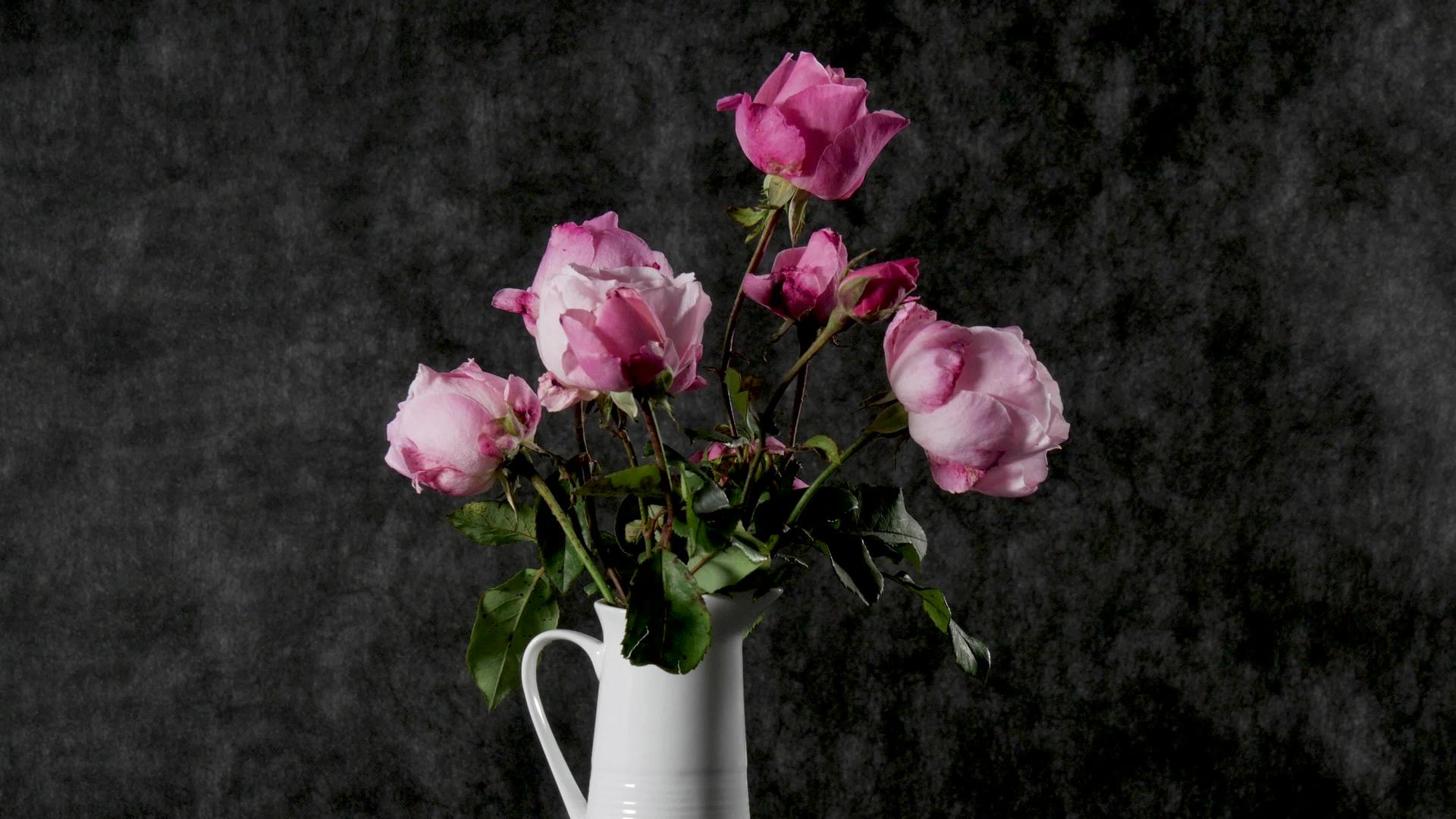 白锅里的玫瑰花束视频的预览图