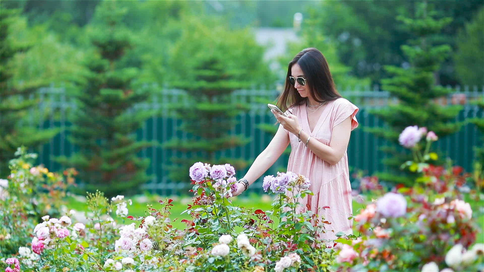 玫瑰的气味在花园里的年轻女孩美丽的玫瑰中视频的预览图