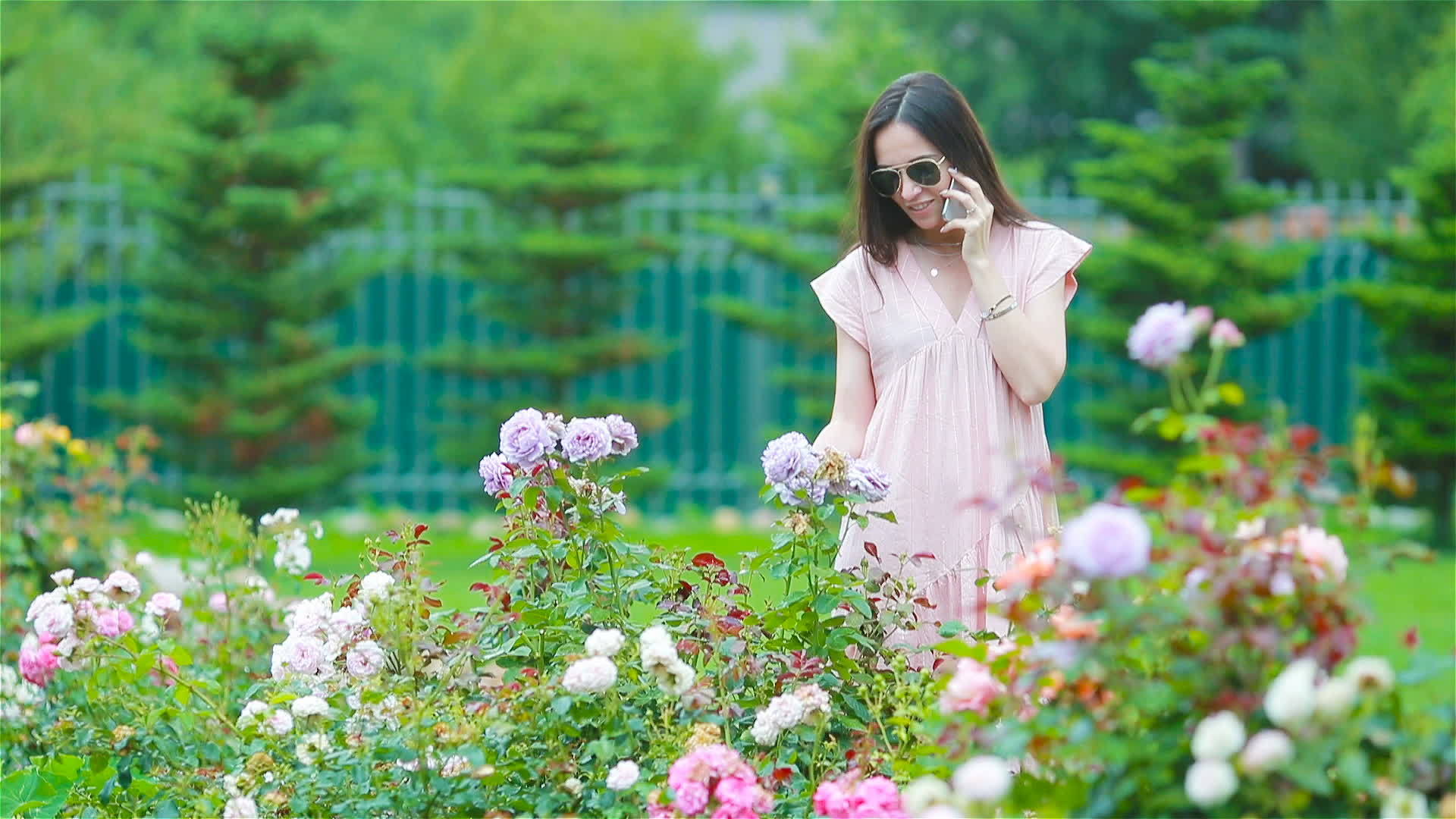 玫瑰的气味在花园里的年轻女孩美丽的玫瑰中视频的预览图