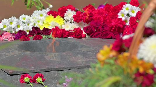 花躺在纪念受害者和阵亡士兵的纪念碑上视频的预览图
