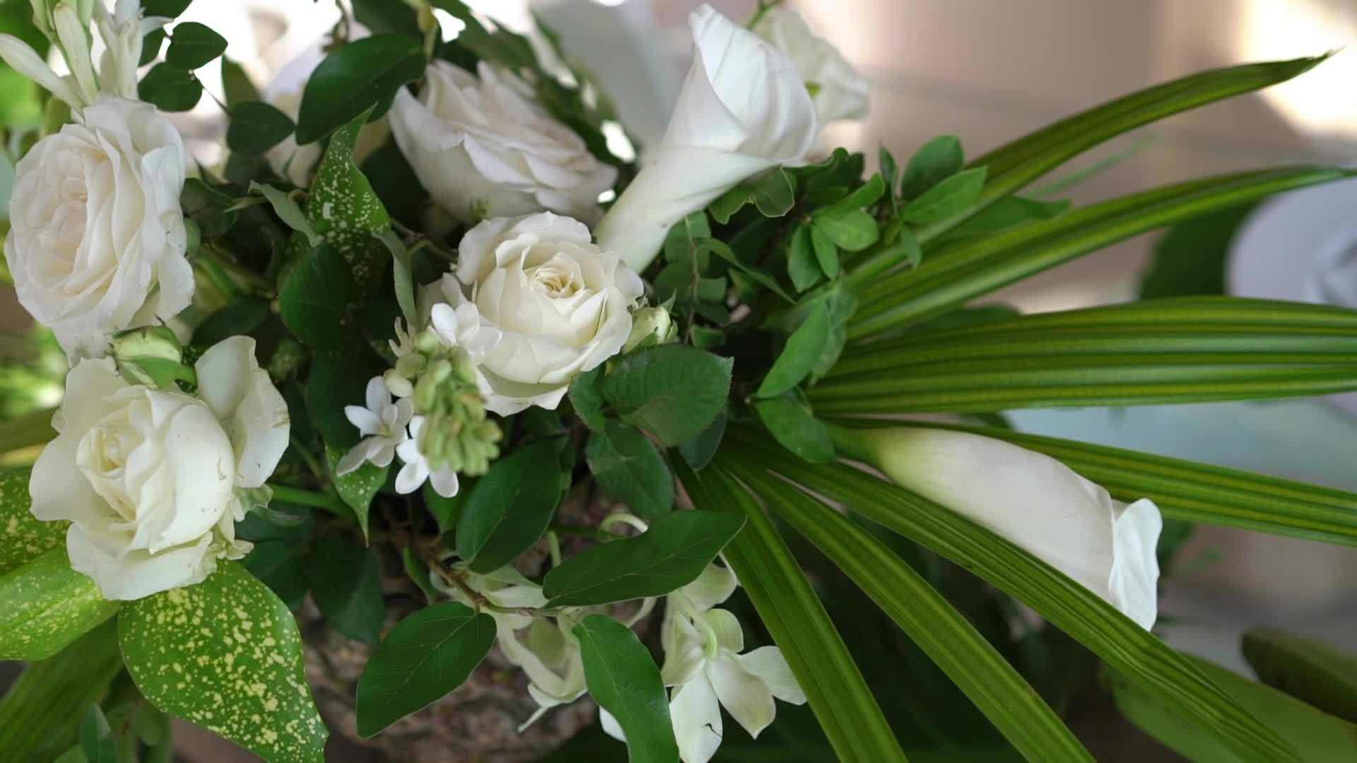 白玫瑰花花视频的预览图