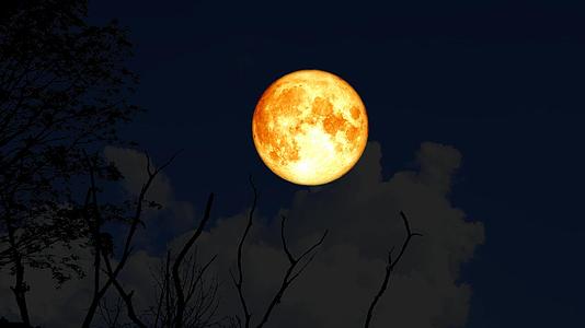 超级水月在夜空的圆形光树上重升1视频的预览图