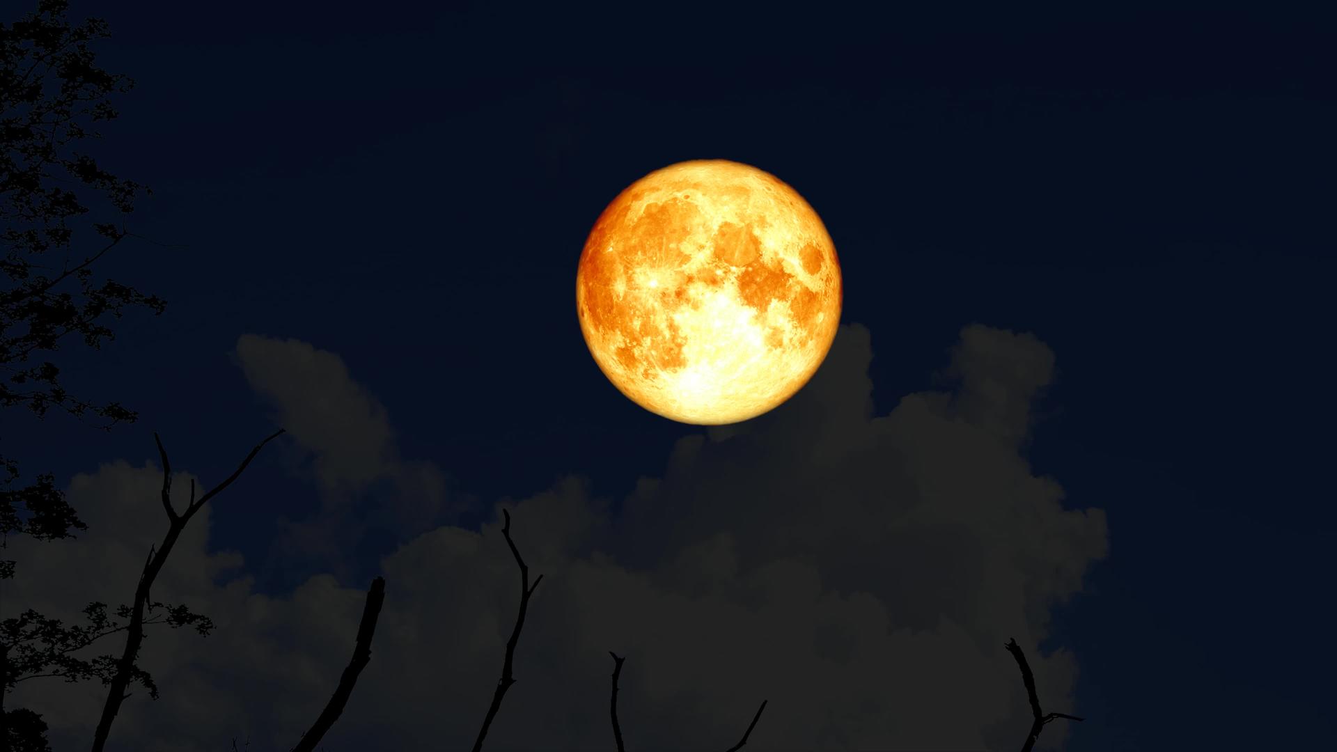 超级水月在夜空的双周光树上重新升起视频的预览图