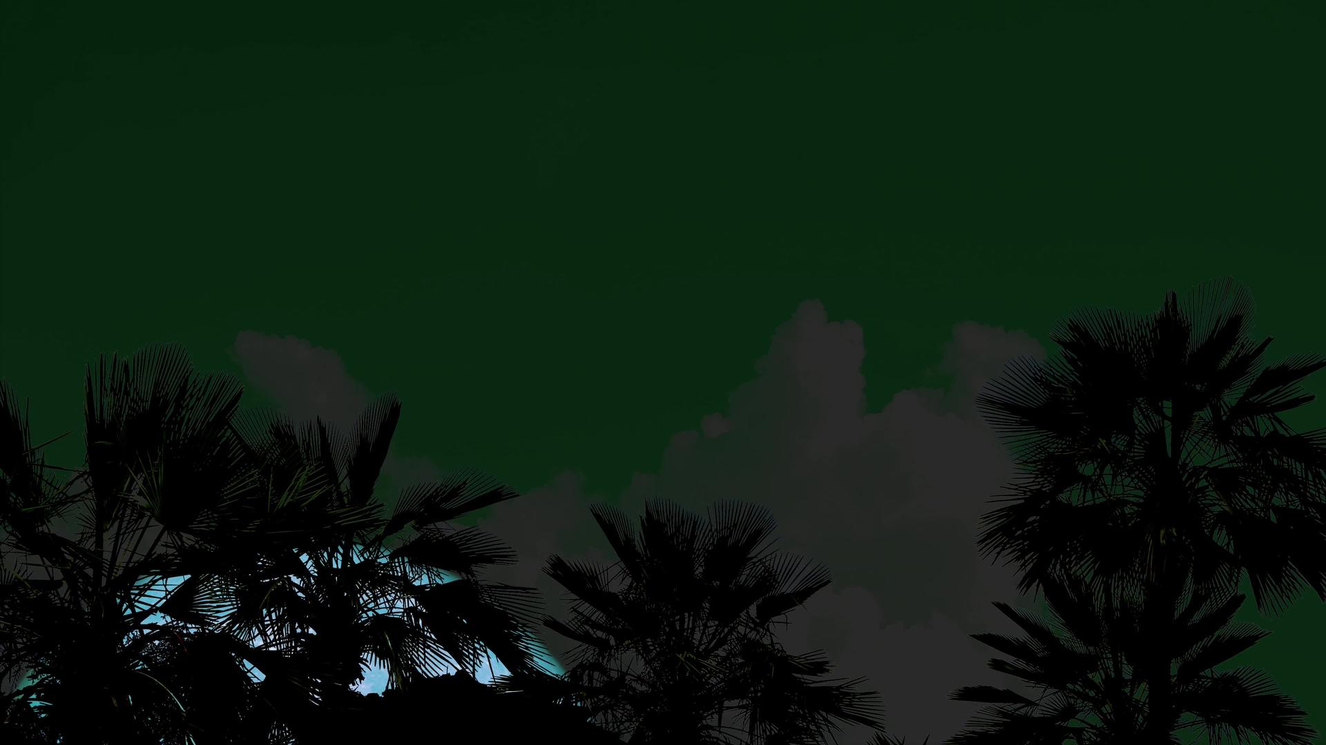 超级水月亮在夜空的双光树上升起视频的预览图