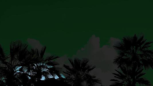 超级水月亮在夜空的双光树上升起视频的预览图