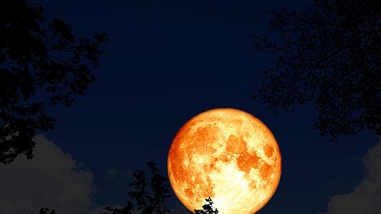 超级血月在夜空超级血月在双影叶上升视频的预览图